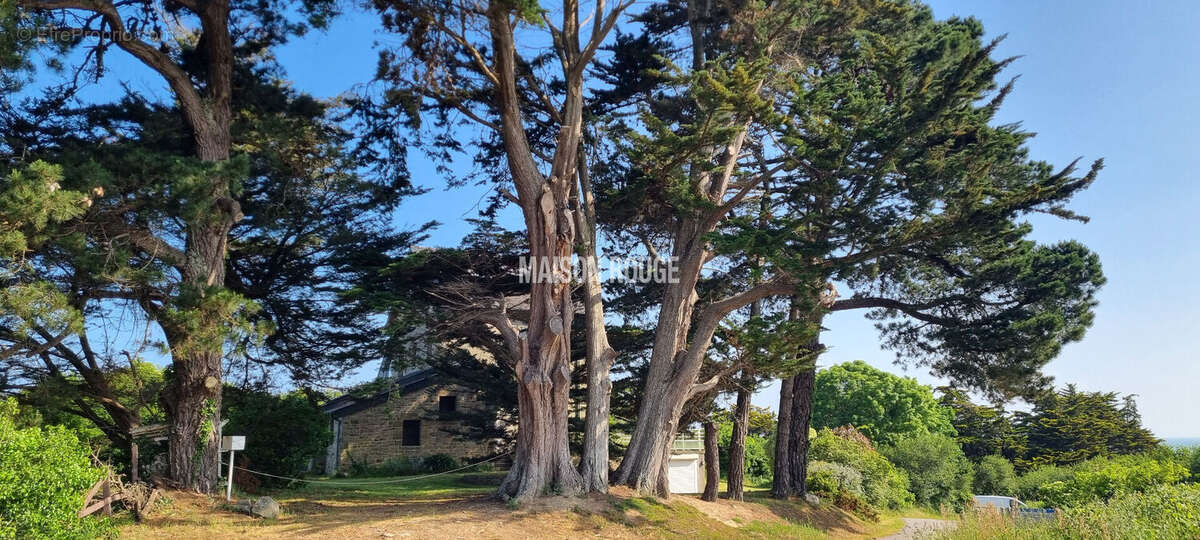 Maison à SAINT-LUNAIRE