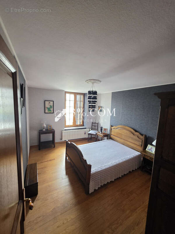 Spacieuse Maison Familiale de 340 m2 à Damelevieres (54360) - photo 30