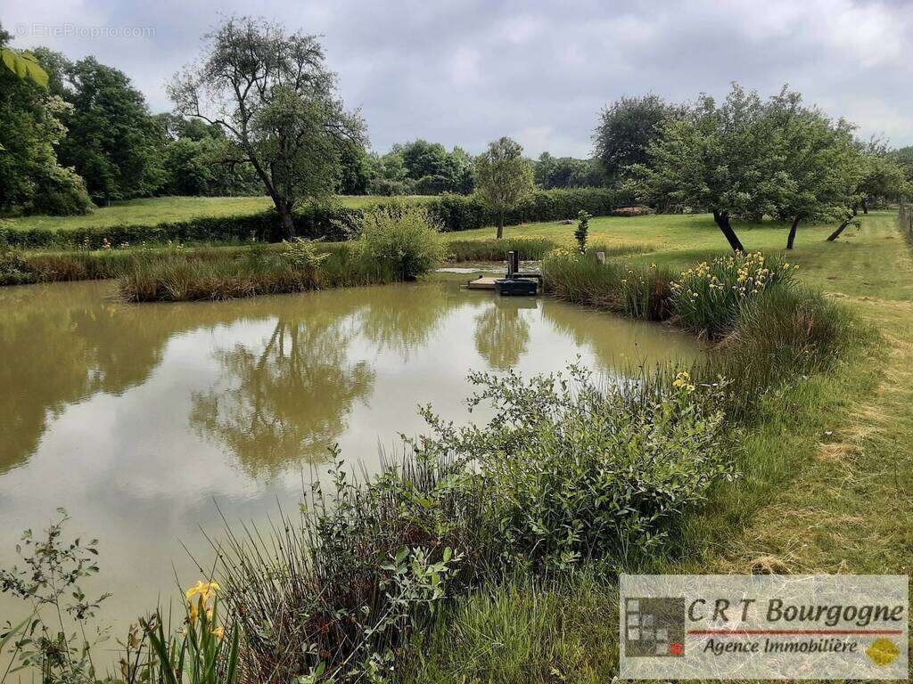 Maison à MOULINS-SUR-OUANNE