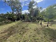 Terrain à LE TAMPON