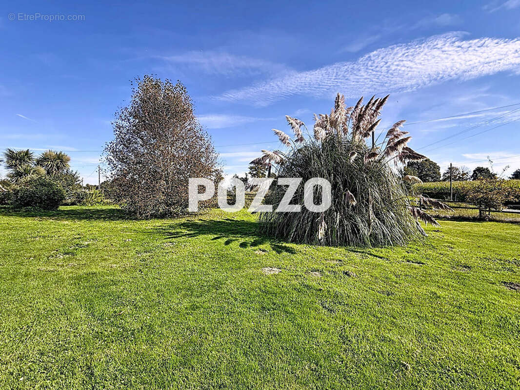 Maison à CHAMPCERVON