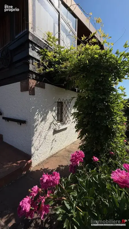 Maison 51 m² à Sainte-Croix-Aux-Mines  - photo 5