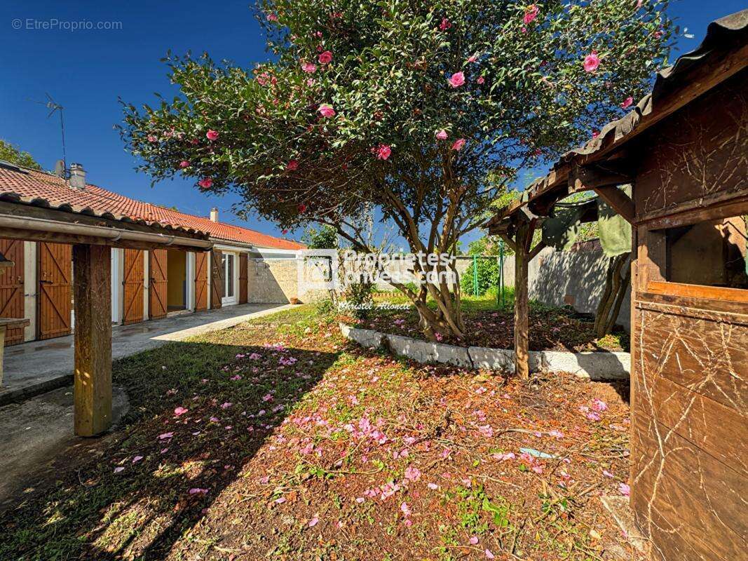 Maison à SAINT-MEDARD-EN-JALLES