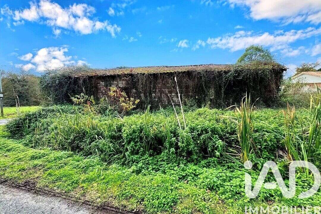 Photo 6 - Maison à CERCOUX