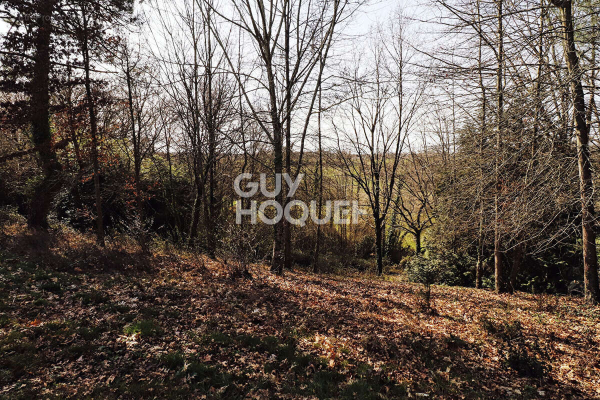 Terrain à SAULT-DE-NAVAILLES