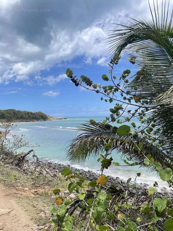 Maison à SAINTE-ROSE