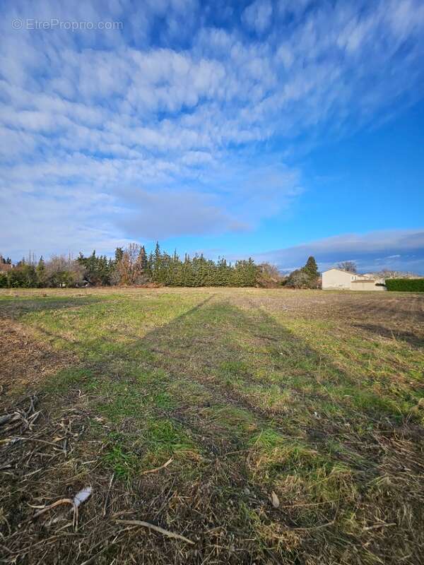 Terrain 403 m² à Senas  - photo 2