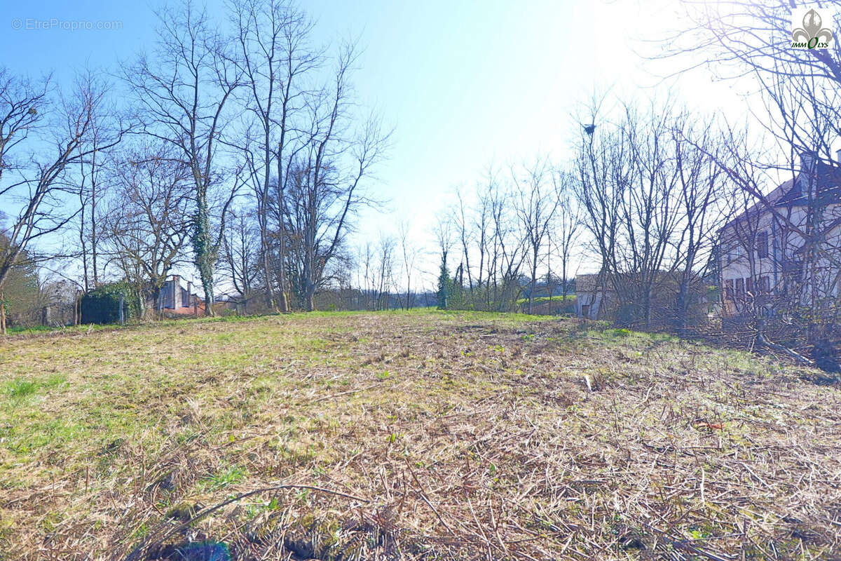 Terrain à AUVILLARS-SUR-SAONE