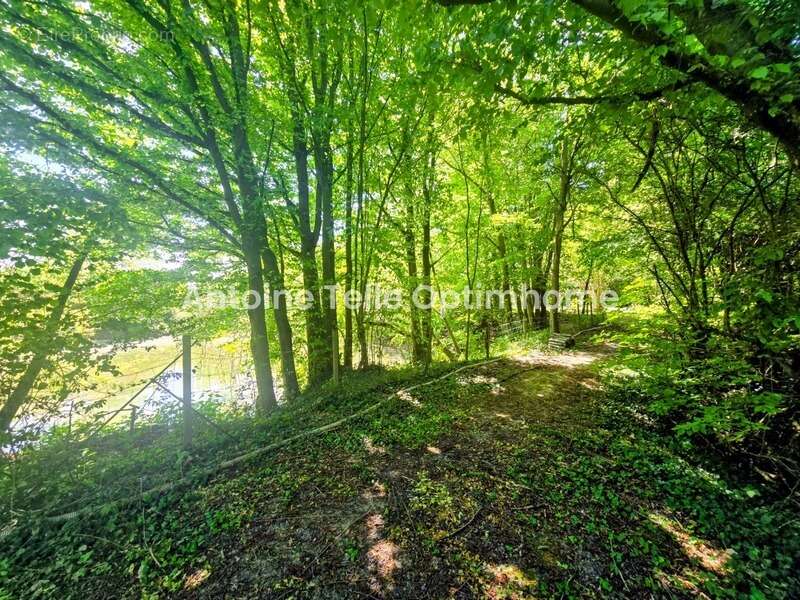 Bazuel / Le Cateau 59360 - Longère individuelle de campagne avec chalet, sauna, jardin arboré & étang sur 5265m² - photo 6