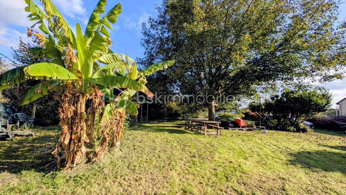 Maison à JUAYE-MONDAYE