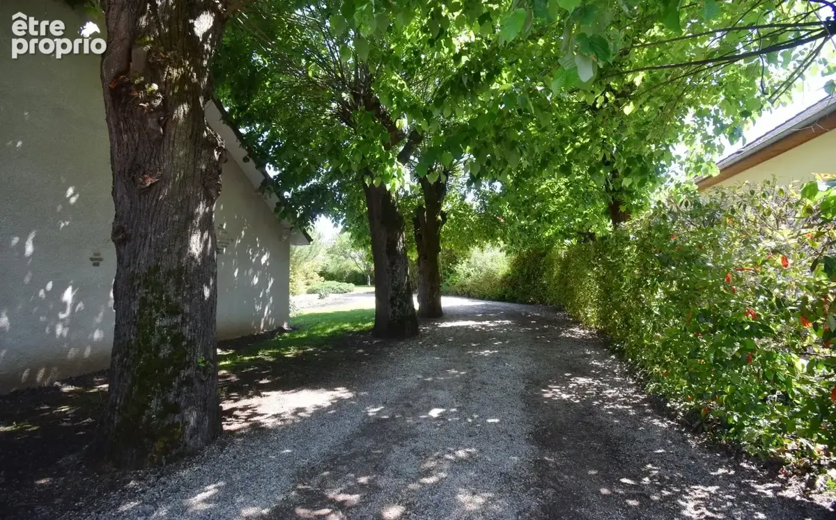 À VENDRE - Maison d'architecte avec piscine, dépendance aménagée et grange sur terrain arboré à 5 minutes de Vichy - photo 25