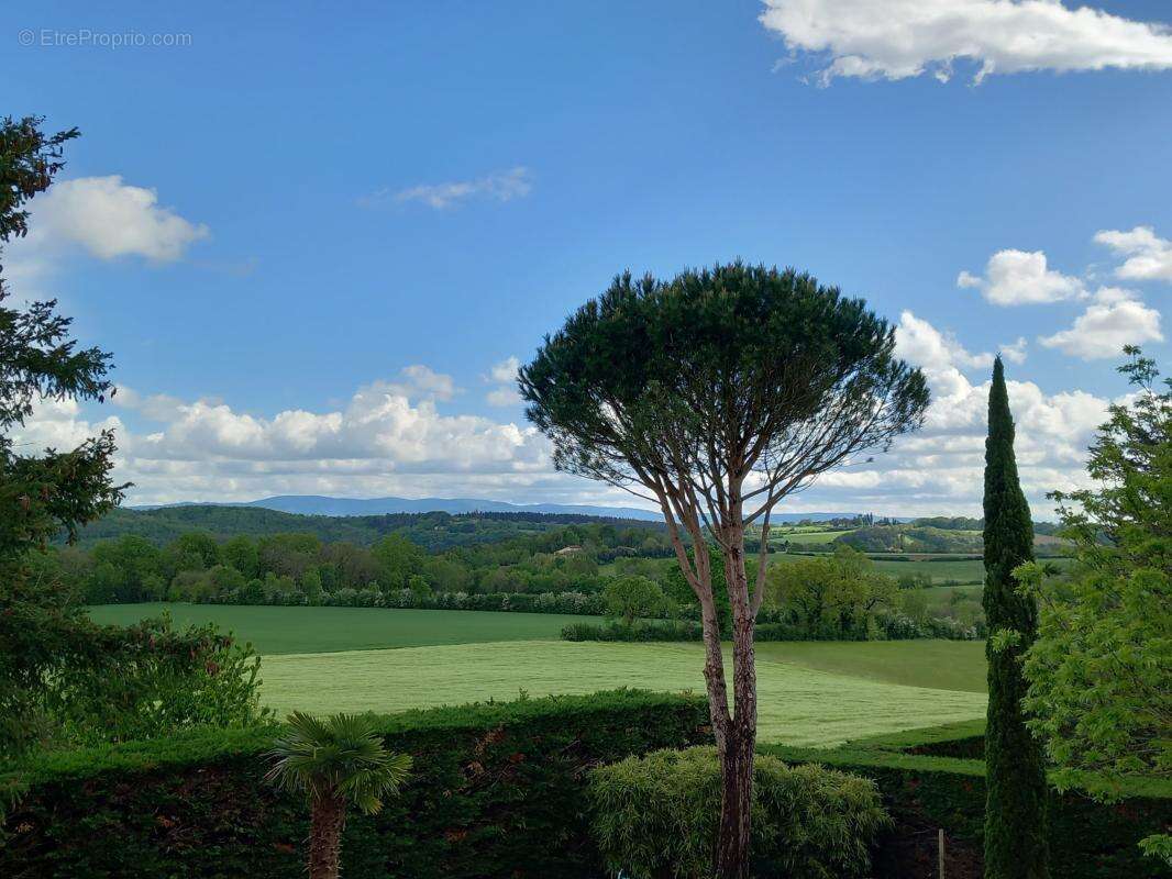 Maison à ROQUECOURBE