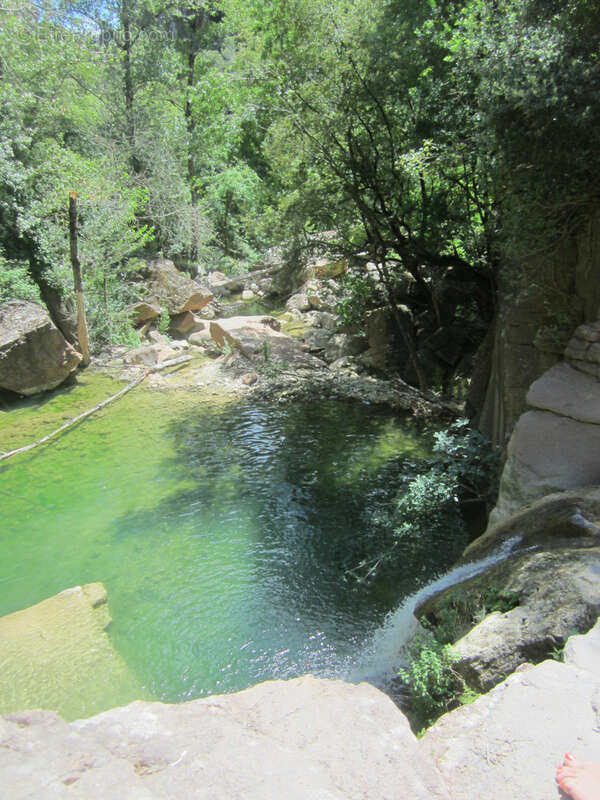 Maison à BAGNOLS-EN-FORET