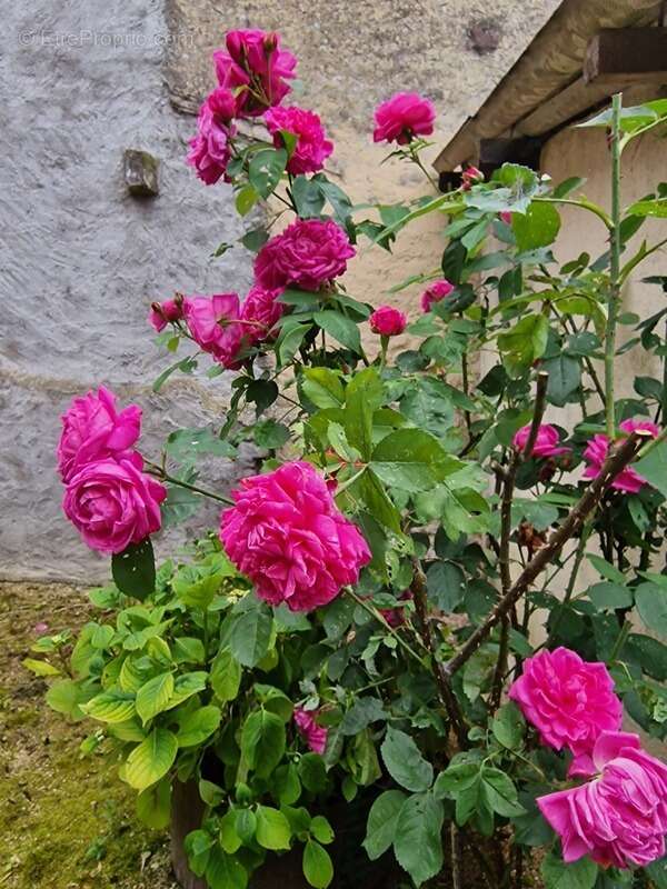 Maison à CONTREXEVILLE