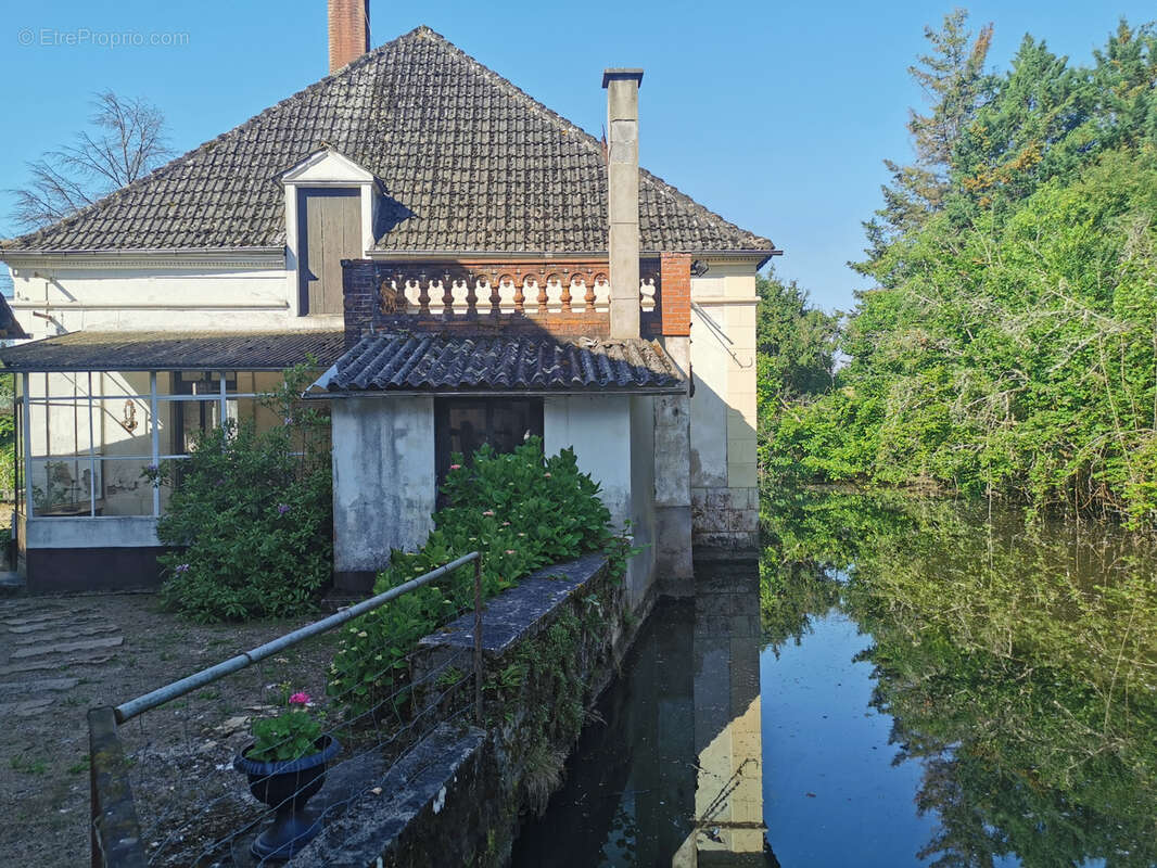 Rare à la vente - Ancien moulin et son domaine arboré avec étang proche de la forêt de Tronçais (03). - photo 3