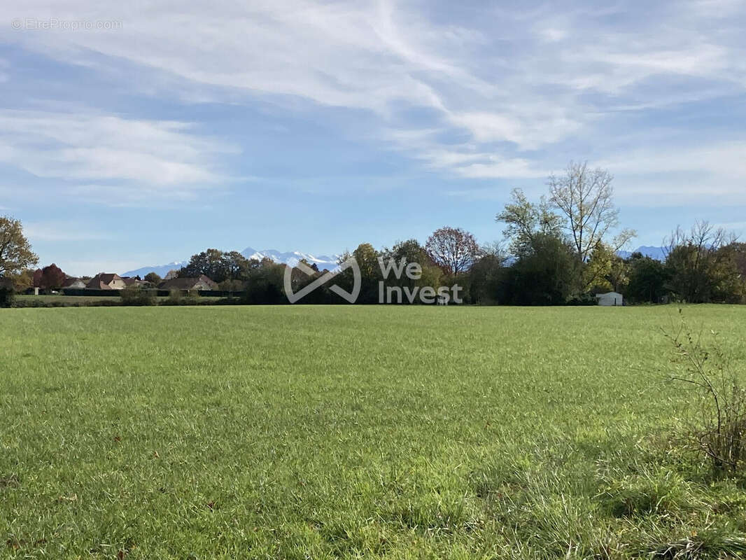 Terrain à AUSSEVIELLE