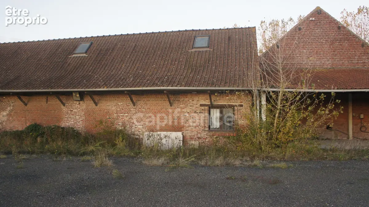 Local/bureau à vendre STEENWERCK (59) Corps de ferme au carré pour un usage mixte sur une parcelle de 27 474 m² - photo 20