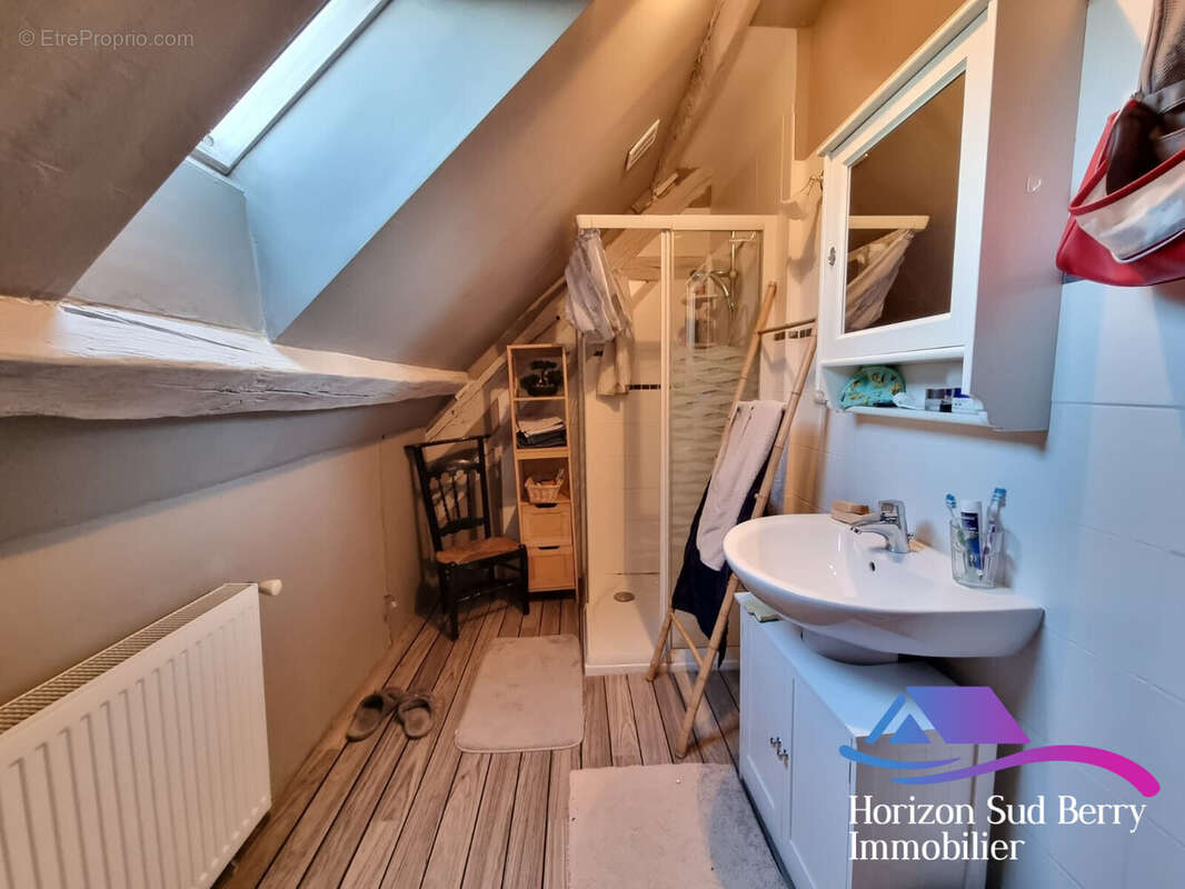 Salle d&#039;eau / WC - Maison à THEVET-SAINT-JULIEN