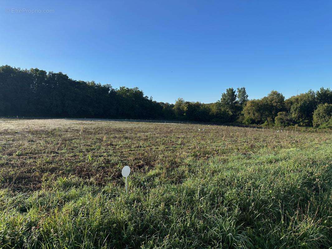 Terrain à ANGOULEME