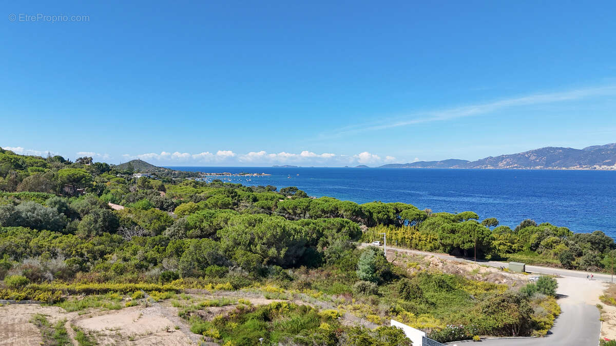 Appartement à PIETROSELLA