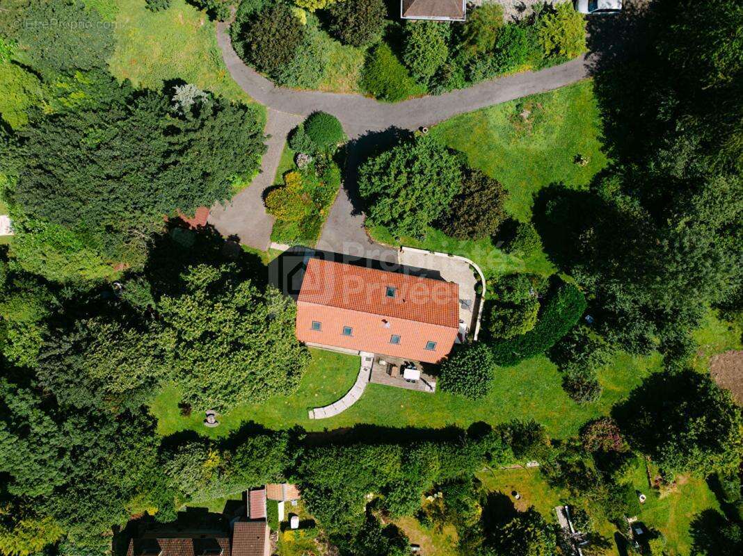 Bien rare à Labuissière - Maison avec vie de plain-pied, terrain boisé et environnement privilégié - photo 3