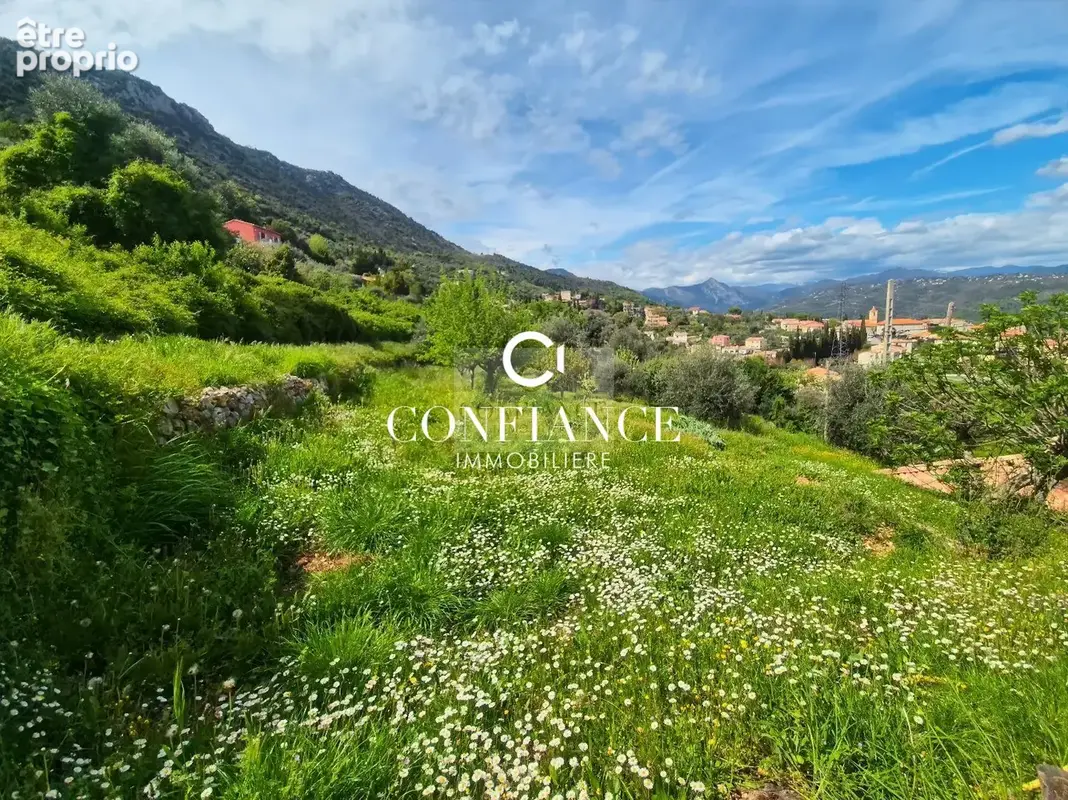 Terrain 1 715 m² à vendre à Chateauneuf-Villevieille (06390) - photo 3