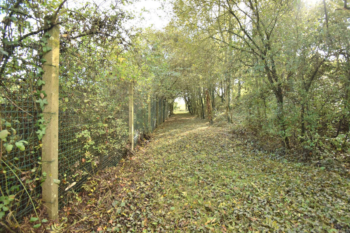 Terrain de loisir - photo 6