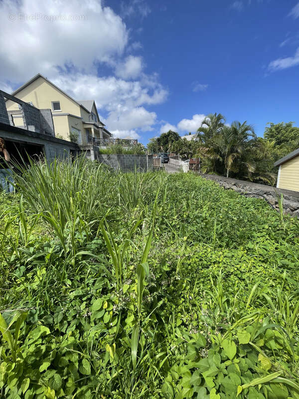 Terrain à SAINT-PAUL