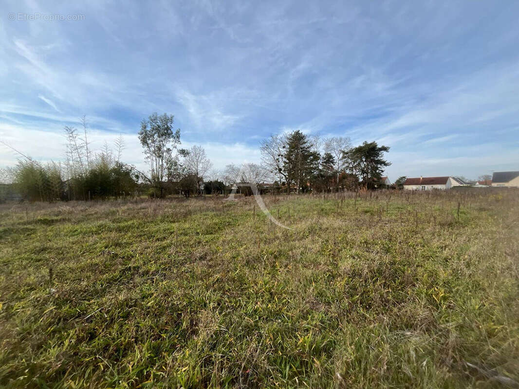 Terrain à LES MONTILS