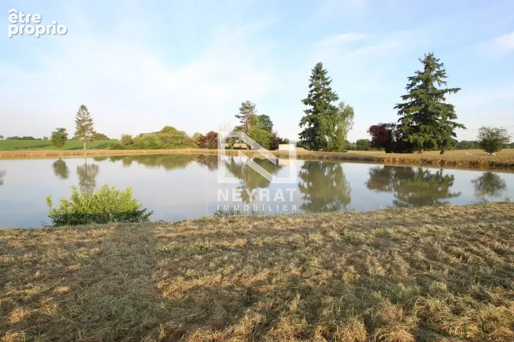 Etang avec sources - photo 20