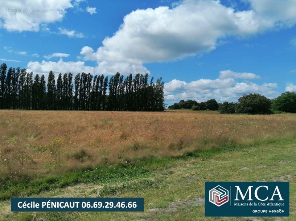 Terrain à HINX