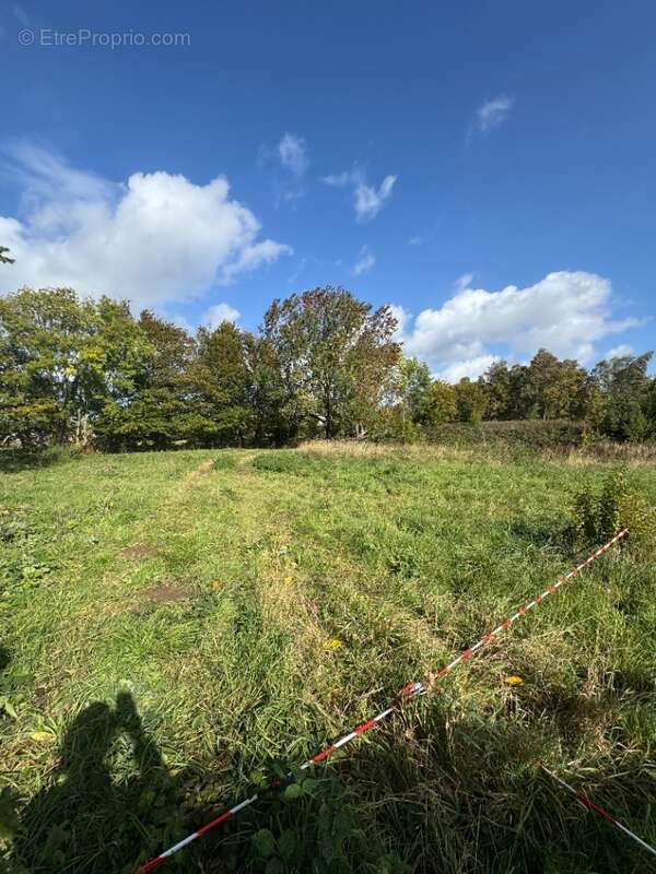 Terrain à MONCHEAUX