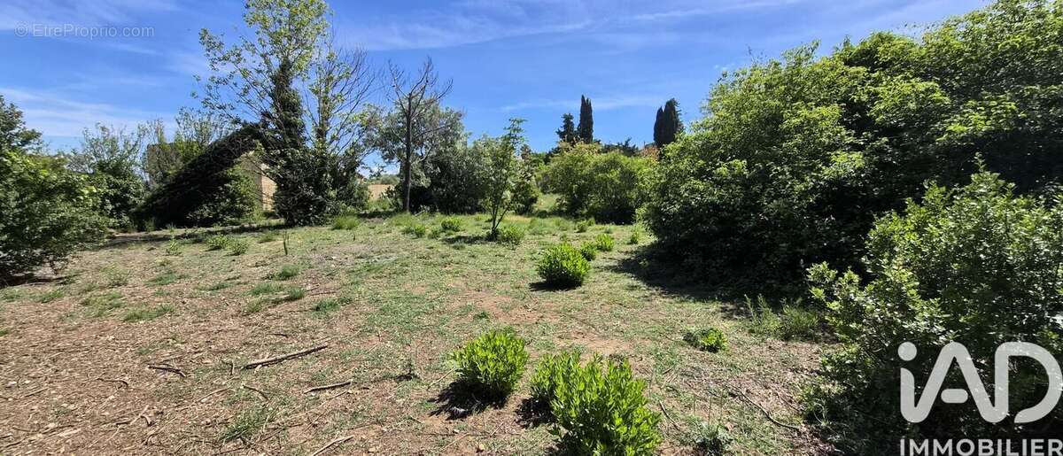 Photo 9 - Maison à THEZAN-DES-CORBIERES