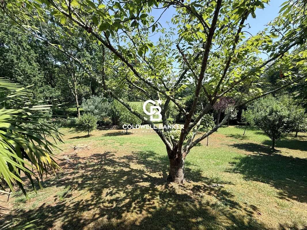 15 min de biarritz — propriété confidentielle dans un parc de 6 500 m² - photo 35
