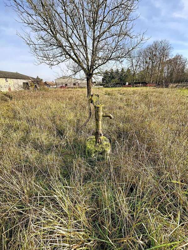 Photo 8 - Maison à DOMMARTIN-LE-COQ
