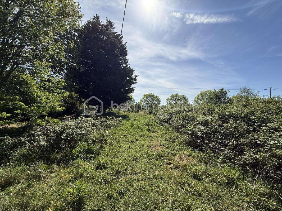 Terrain à LE MANS