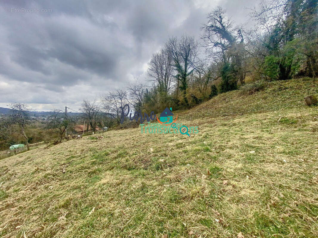 Terrain à LILLEBONNE