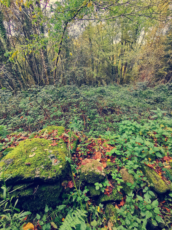 Terrain à TREIGNAC