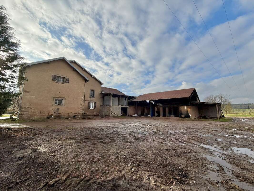 Maison à FENNEVILLER