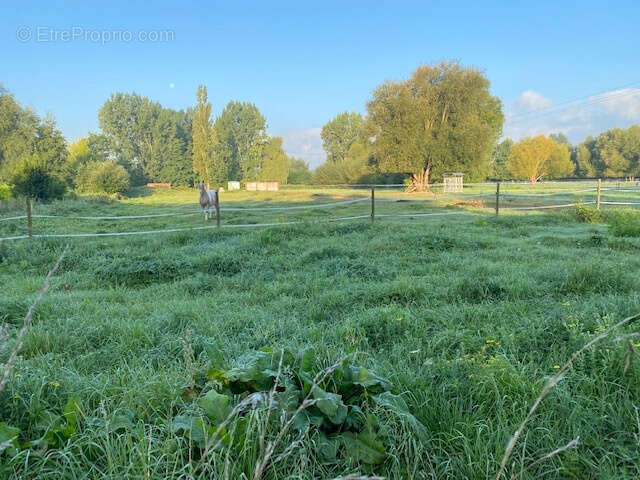 Terrain à ABBEVILLE