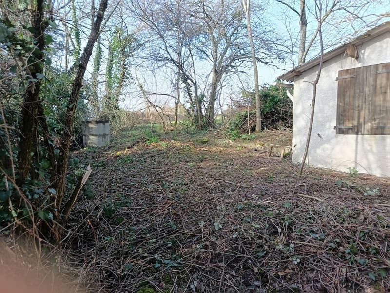 Maison à vendre sur la commune de SAINT HILAIRE SOUS CHARLIEU (42) - photo 3