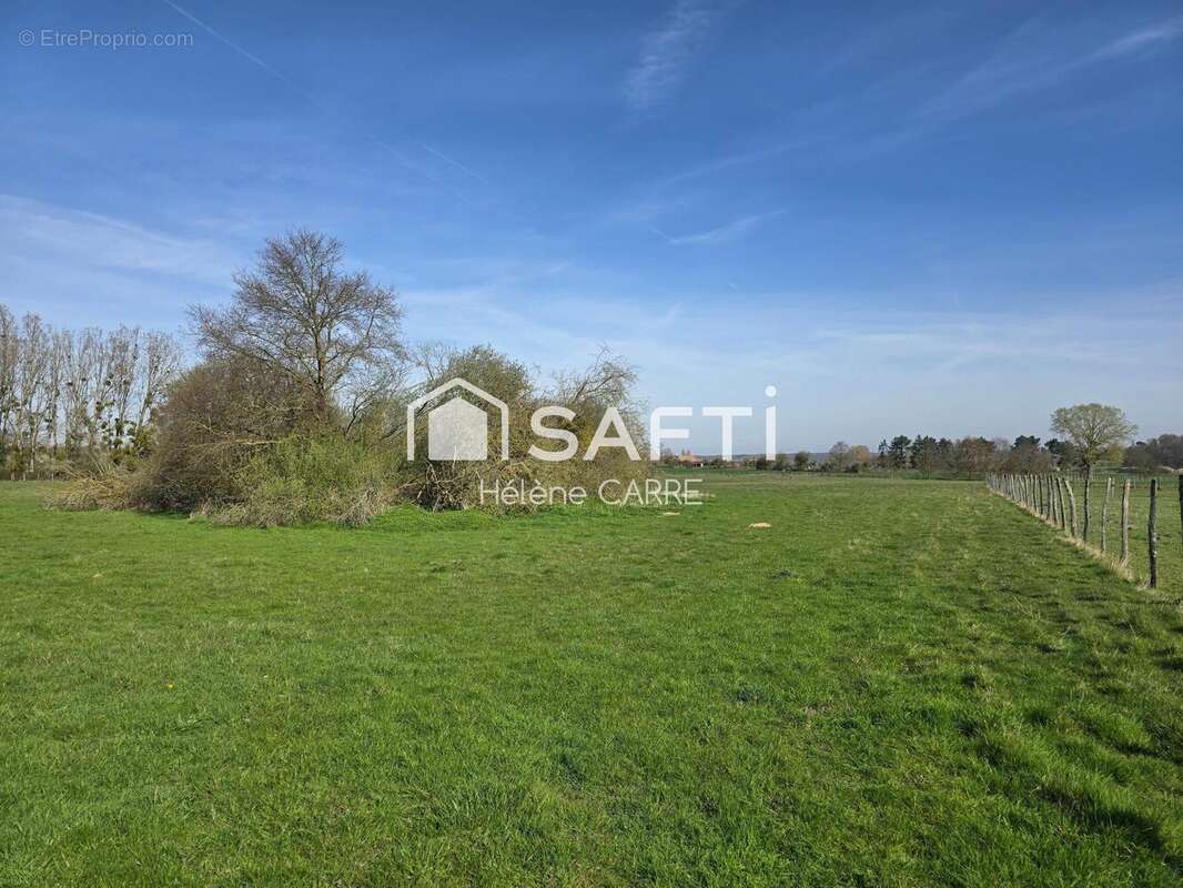 Photo 4 - Terrain à SAINT-GEORGES-SUR-LA-PREE