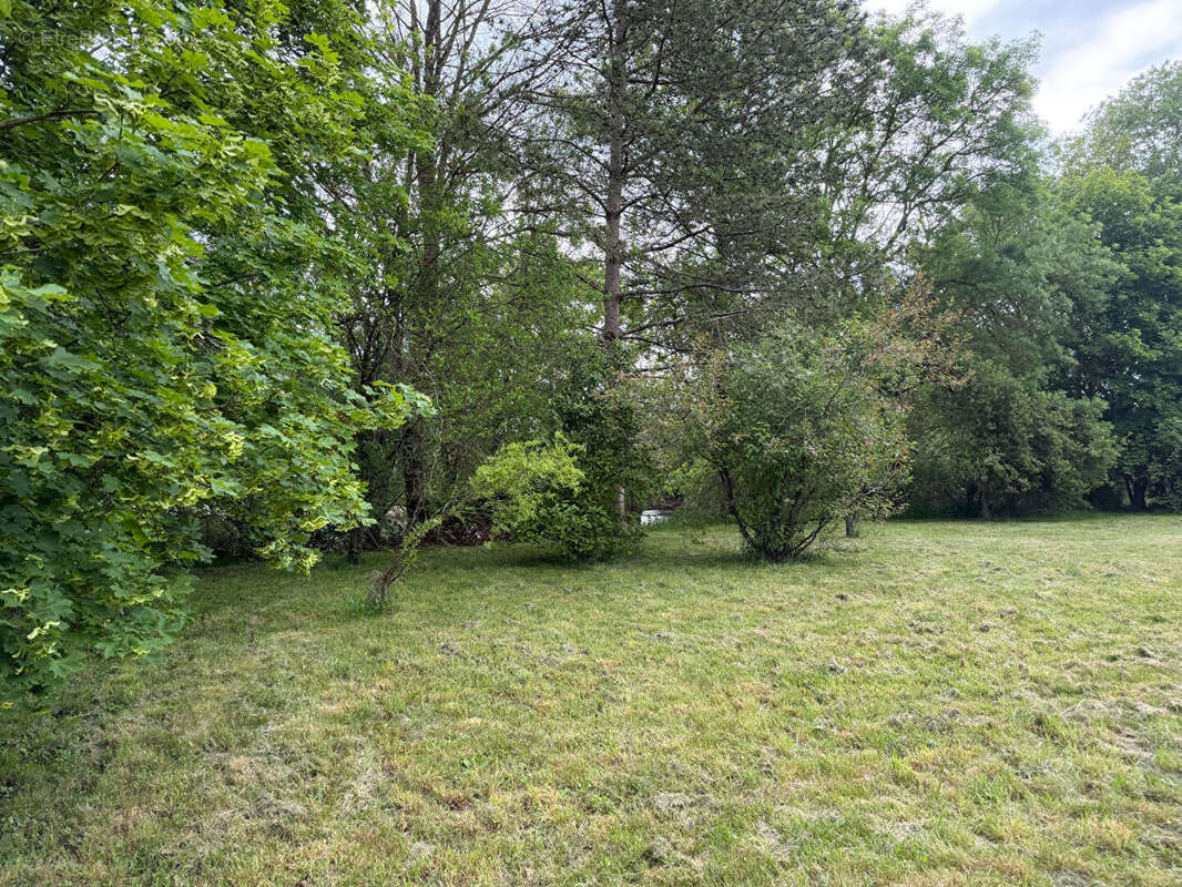 Terrain à ITEUIL