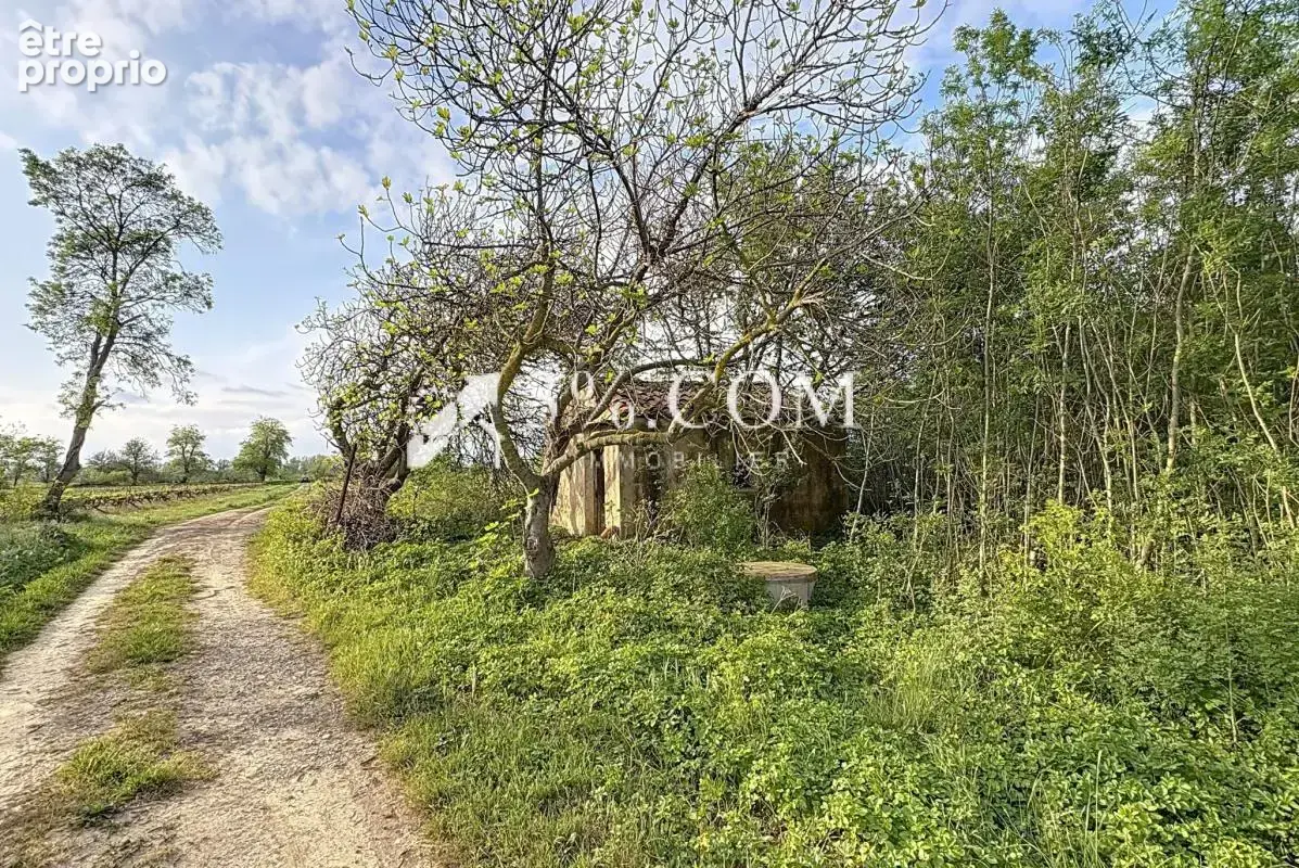Terrain agricole et de loisirs de 4 558 m2 -cadre boisé, pui - photo 6