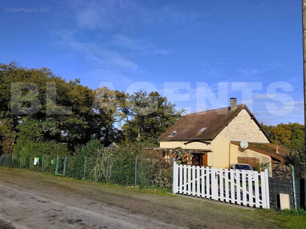 IMG-20251030-WA0000 - Maison à SAINT-SULPICE-LES-FEUILLES