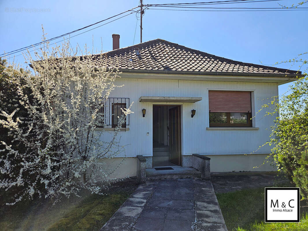 Maison à WISSEMBOURG