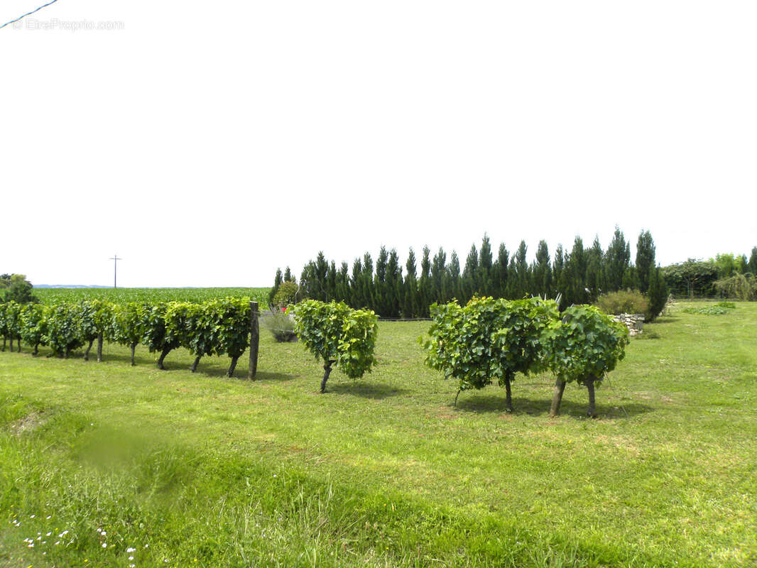 Terrain à CASTELJALOUX