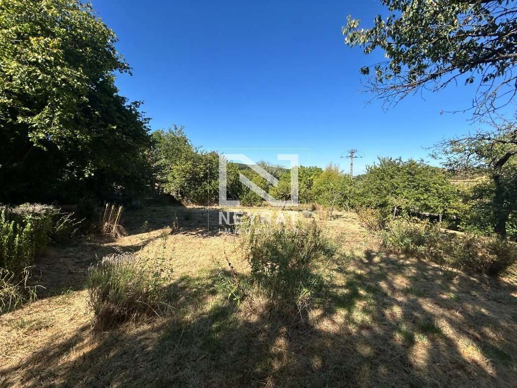 Grande maison en pierres avec jardin et dépendances - photo 4