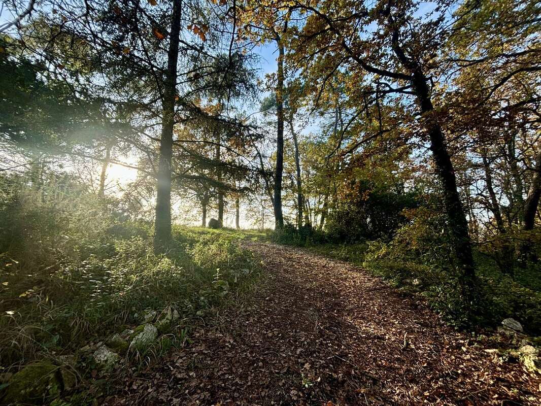 Maison à MONTIGNAC-DE-LAUZUN