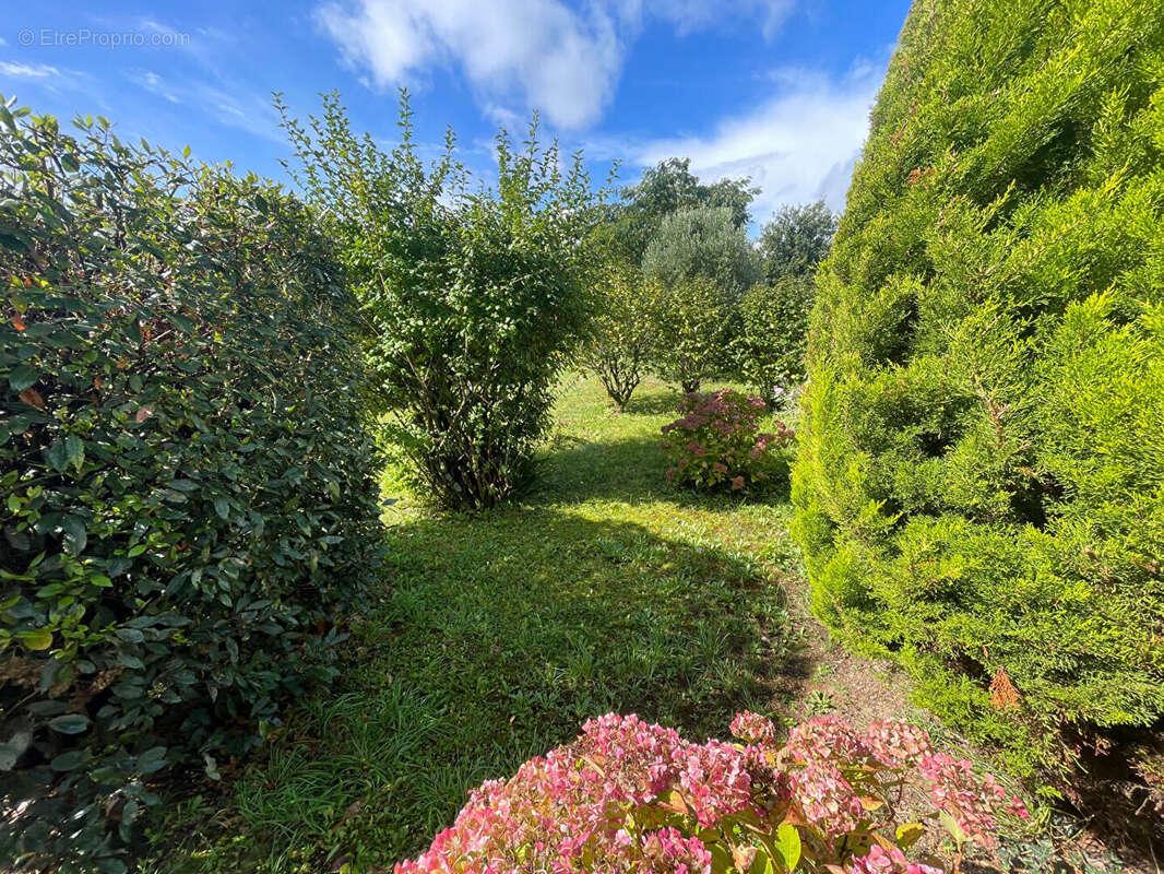Maison à CHATEAUNEUF-DU-FAOU